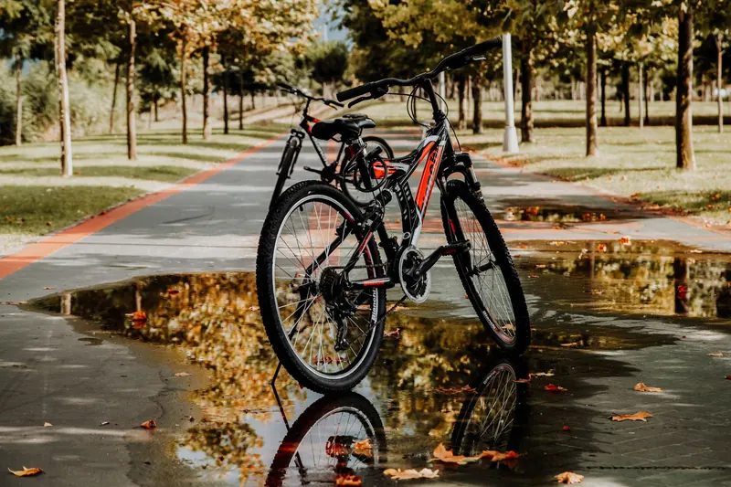 A bicycle reflecting on a wet path in a scenic park in Türkiye