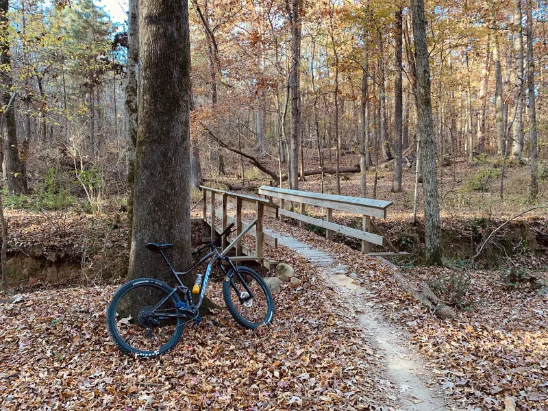 Serene autumn forest with a mountain bike beside a wooden bridge on a nature trail